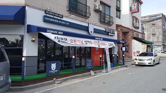 개집비어 경남대점 · 네이버 지도·플레이스 2