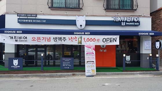 개집비어 경남대점 · 네이버 지도·플레이스 3
