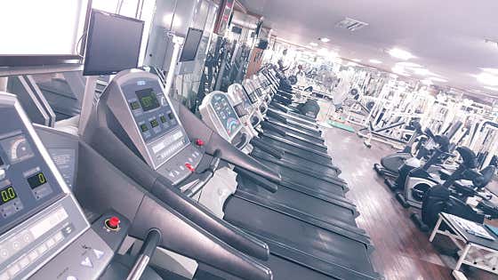 드림헬스라인