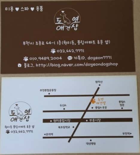 도연애견샵 대표이미지