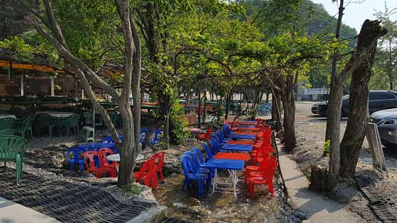 십이선녀탕쉼터식당 · 네이버 지도·플레이스 6