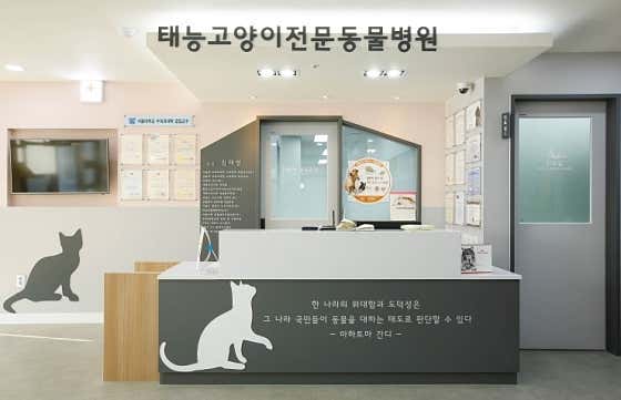 태능동물병원 대표이미지
