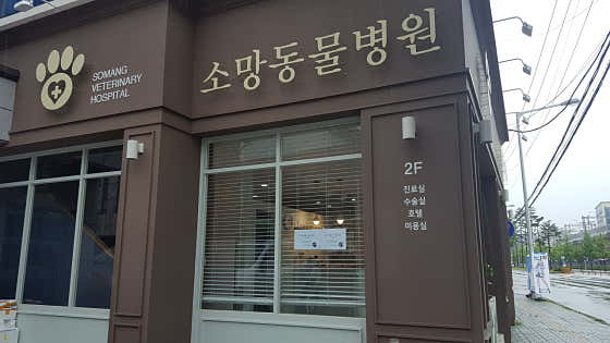 소망애견미용실