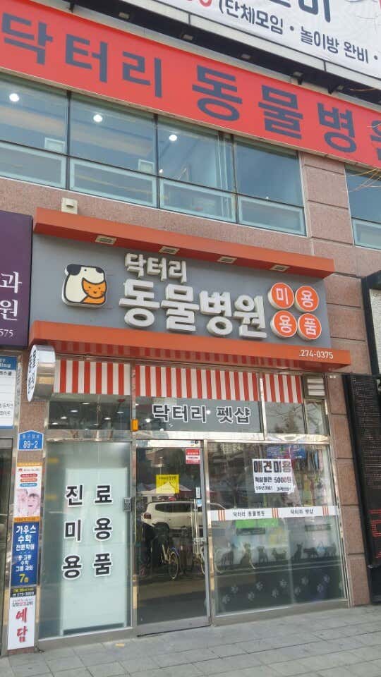 닥터리동물병원