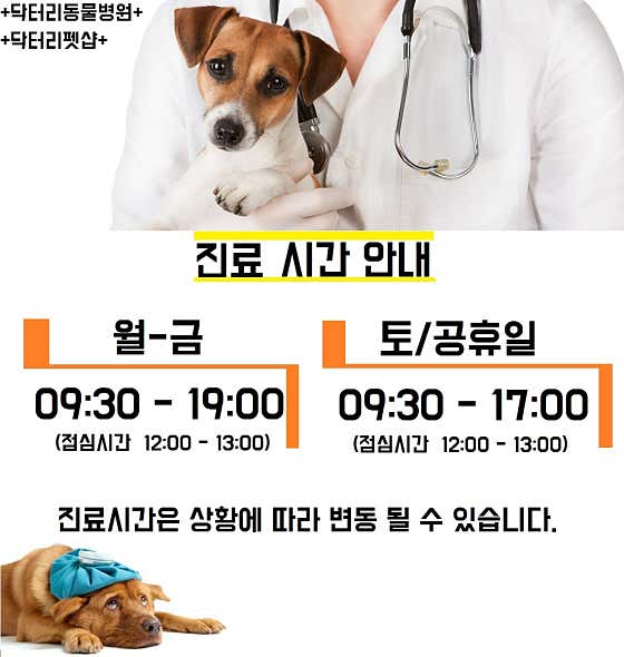 닥터리동물병원 · 네이버 지도·플레이스 6