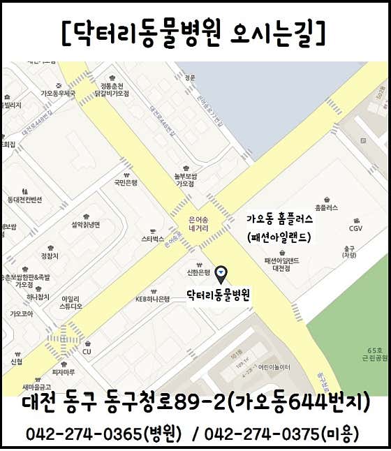 닥터리동물병원 · 네이버 지도·플레이스 3