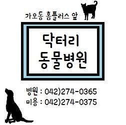 닥터리동물병원 · 네이버 지도·플레이스 4