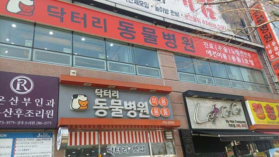 닥터리동물병원 · 네이버 지도·플레이스 2
