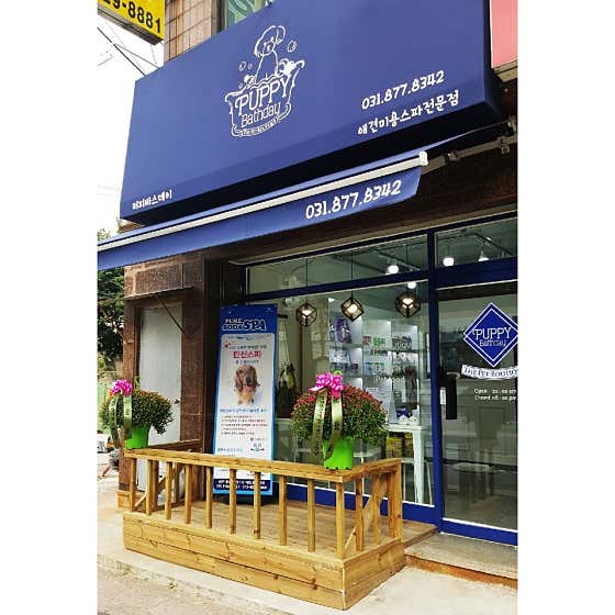퍼피바스데이 대표이미지