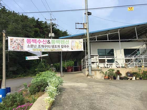 동백수산 · 네이버 지도·플레이스 10
