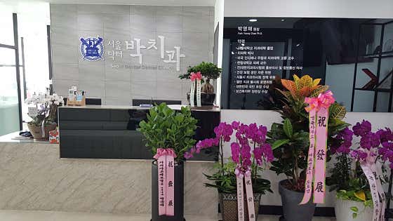 서울닥터박치과의원