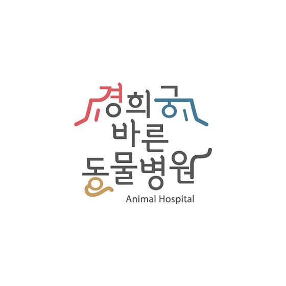 경희궁 바른 동물병원 대표이미지
