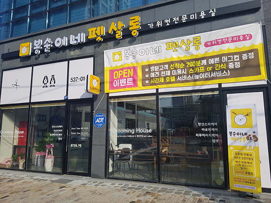 봉순이네펫살롱 · 네이버 지도·플레이스 2