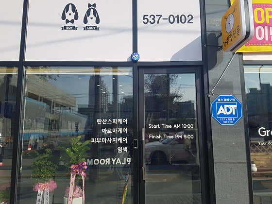 봉순이네펫살롱 · 네이버 지도·플레이스 4