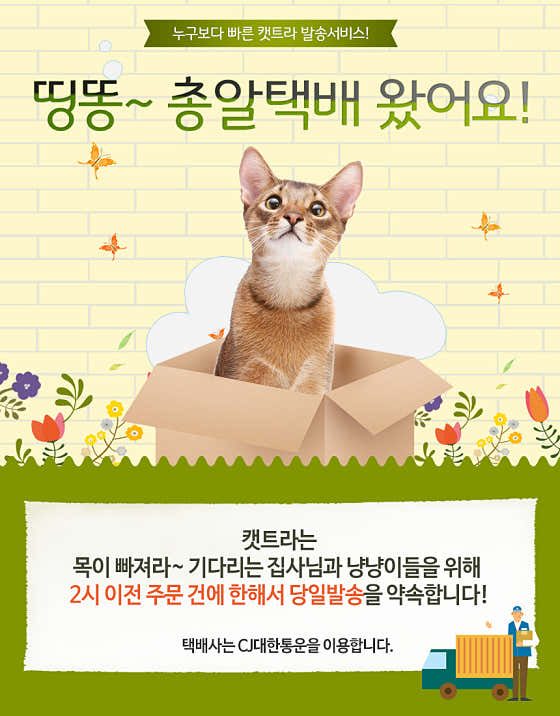 펫트라 · 네이버 지도·플레이스 2