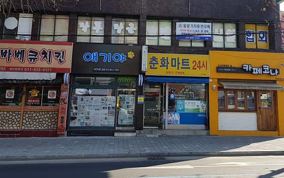 애기야 애견미용샵 · 네이버 지도·플레이스 2
