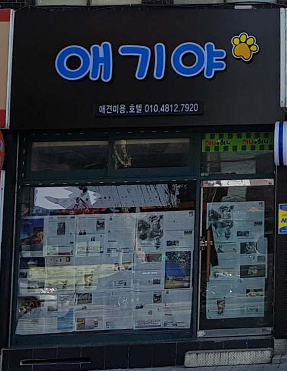 애기야 애견미용샵