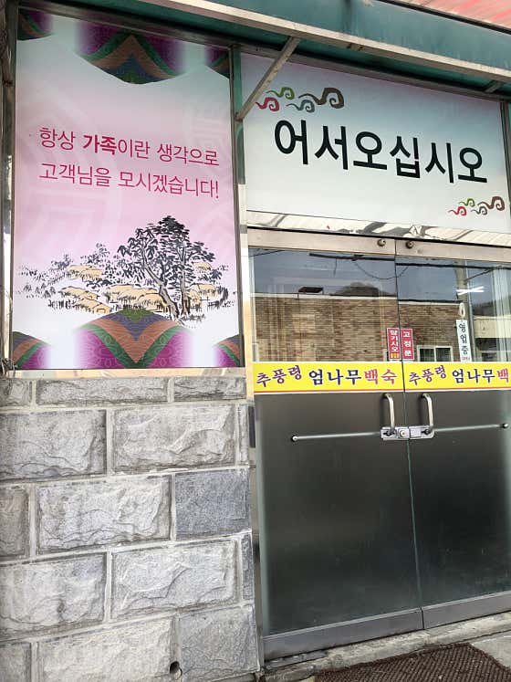 추풍령엄나무백숙