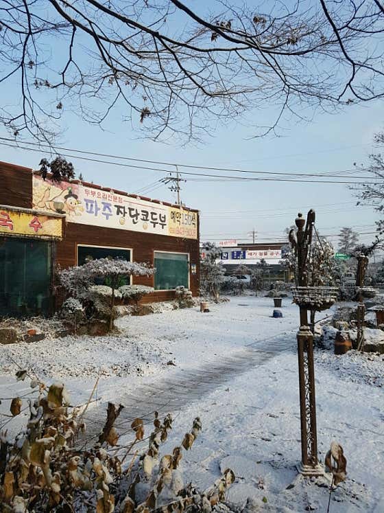 네이버 플레이스 파주장단콩두부 : 네이버