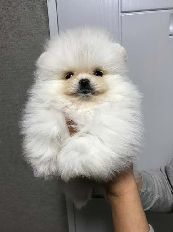 그루밍선데이 · 네이버 지도·플레이스 5