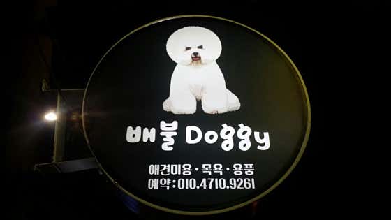 배불Doggy · 네이버 지도·플레이스 1