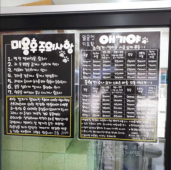 애기야 애견미용샵 · 네이버 지도·플레이스 4