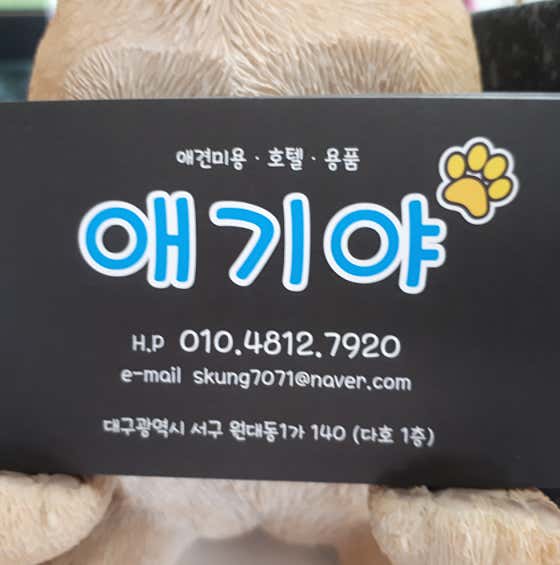 애기야 애견미용샵 · 네이버 지도·플레이스 3