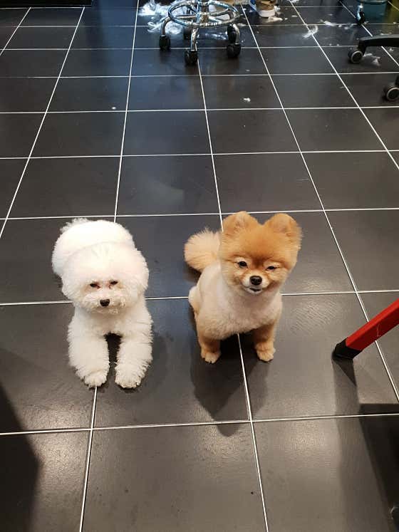 폼나고폼나개 · 네이버 지도·플레이스 9