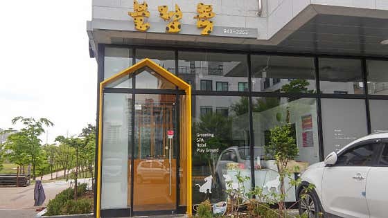 블링독애견미용샵 · 네이버 지도·플레이스 2