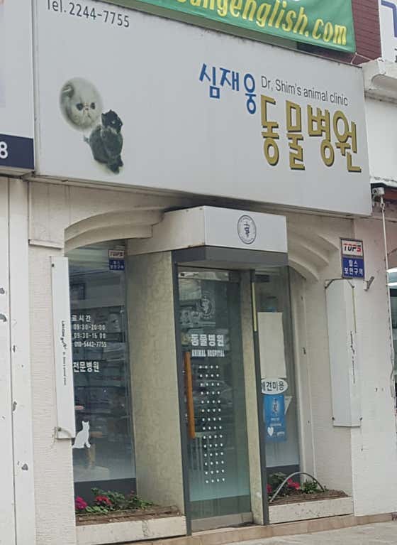 심재웅동물병원 대표이미지