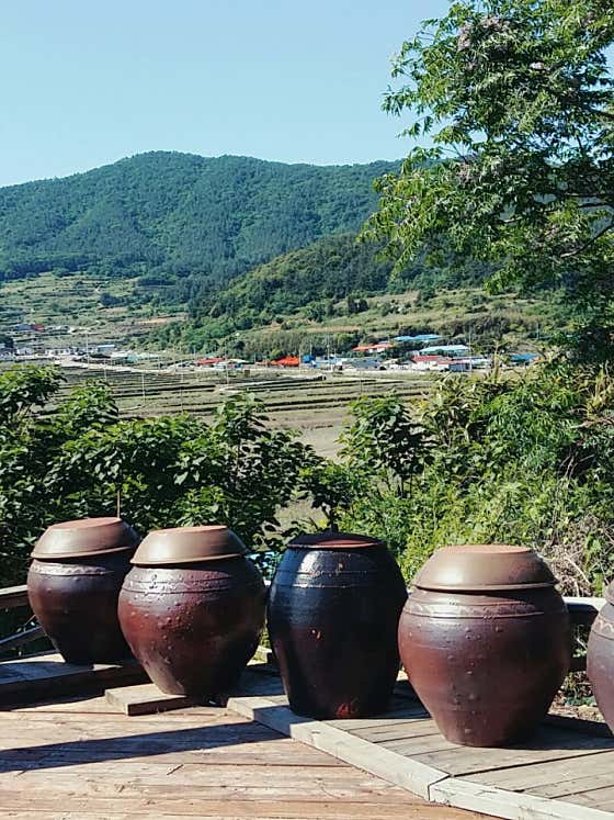 올래식당 · 네이버 지도·플레이스 2