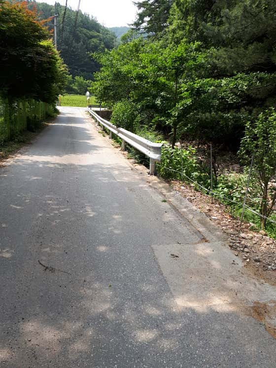 청운면메기마을 · 네이버 지도·플레이스 8