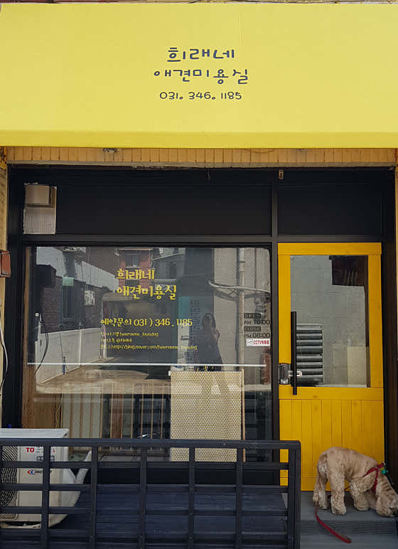 네이버 플레이스 희래네애견미용실 : 네이버