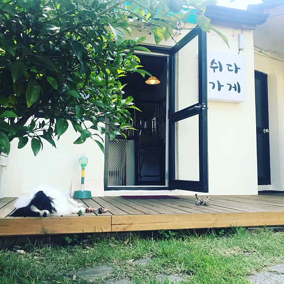 쉬다가게