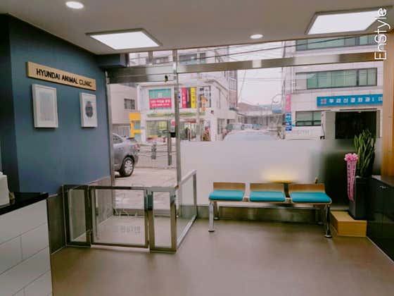 현대동물병원 대표이미지