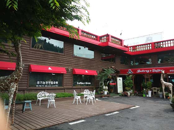 베어힐카페
