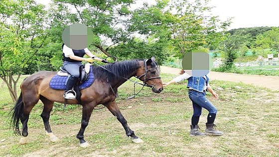 주금산 홀스킹덤 수영장 글램핑 · 네이버 지도·플레이스 6