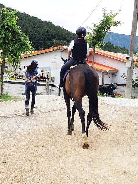 주금산 홀스킹덤 수영장 글램핑 · 네이버 지도·플레이스 5
