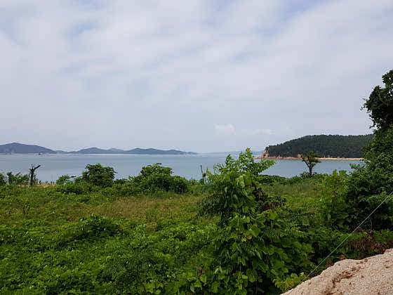 금빛솔여울에든가오름 · 네이버 지도·플레이스 6