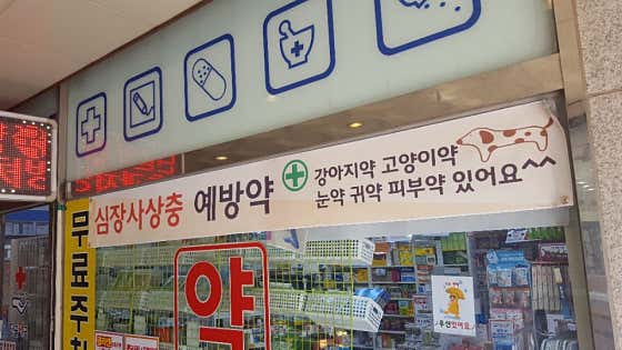 단골약국 · 네이버 지도·플레이스 6