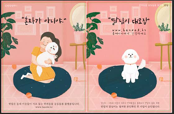 반달컴퍼니