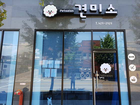 견미소 대표이미지