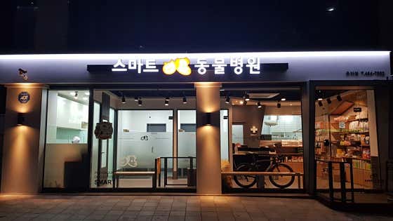 스마트동물병원 군자점 대표이미지