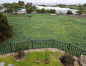 더쉼 (연동) 매장 사진 3