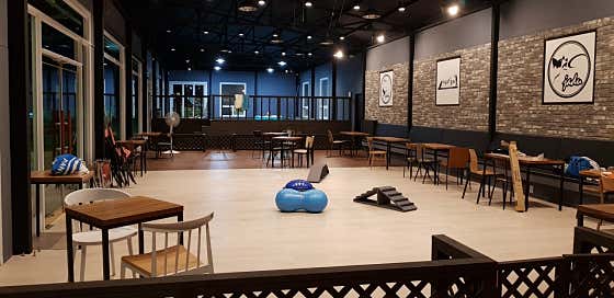 자두야 놀자 · 네이버 지도·플레이스 4