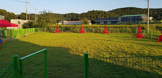 자두야 놀자 · 네이버 지도·플레이스 8