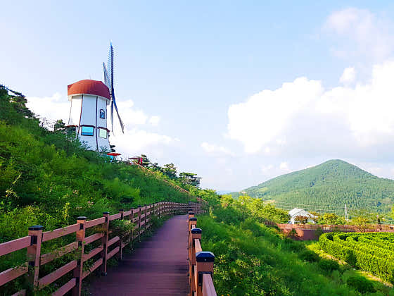 풍차카페수제버거 · 네이버 지도·플레이스 10