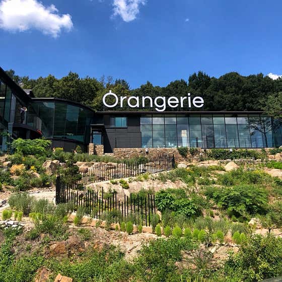 오랑주리