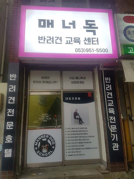 매너독반려견교육센터 · 네이버 지도·플레이스 6