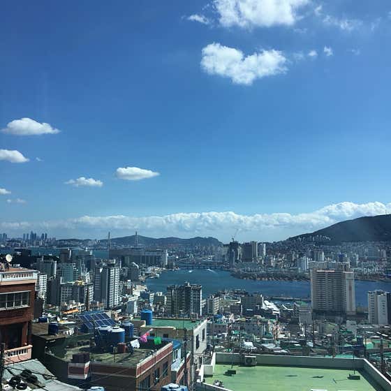 네이버 플레이스 오르다가 : 네이버